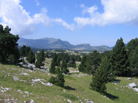 Foto : Le plateau du Vercors